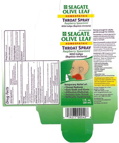 Carton (Throat Spray Rasberry Full Image Carton)
